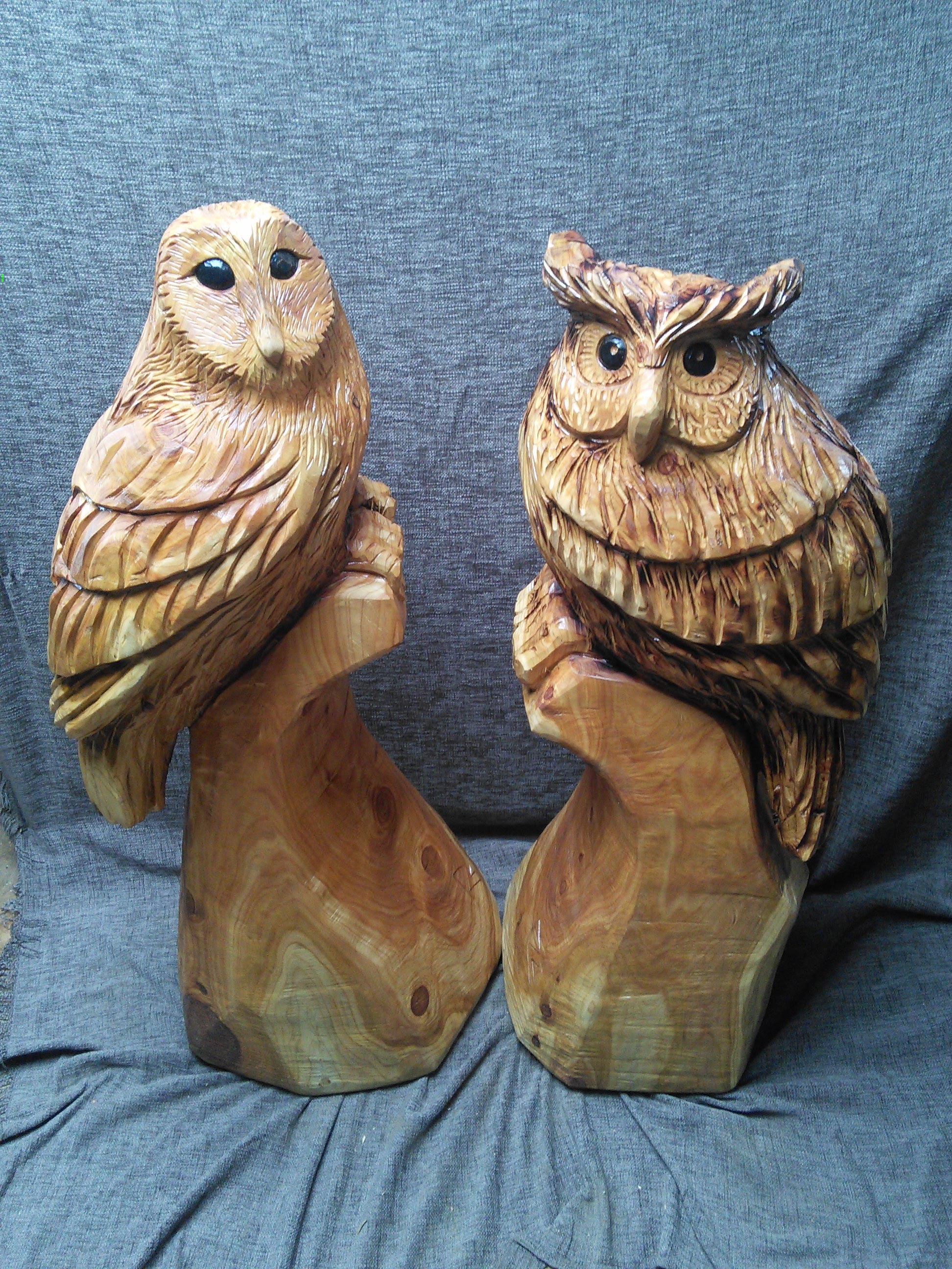 Owls