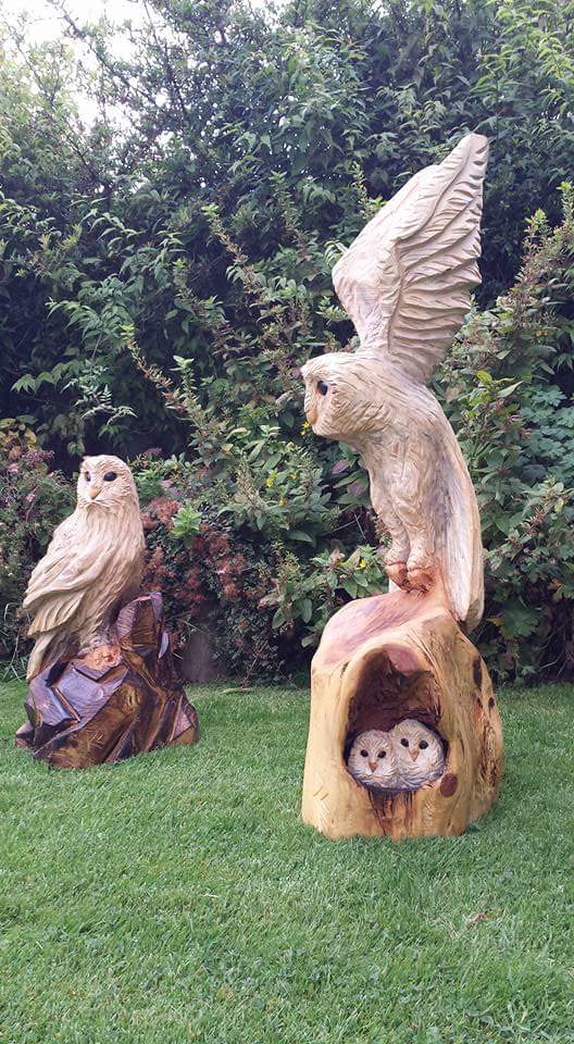 Pair of White Barn Owls