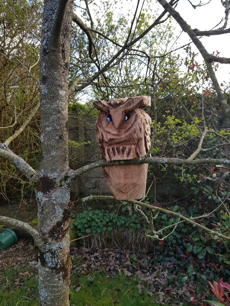 Branch Owls in Redwood