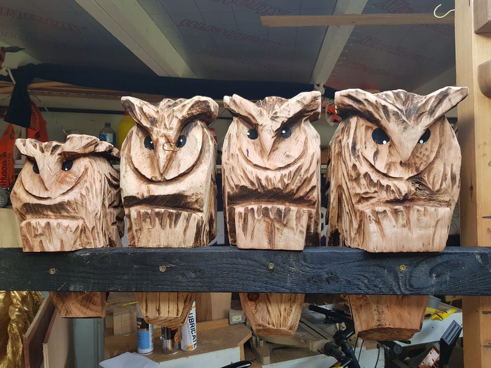 Branch Owls