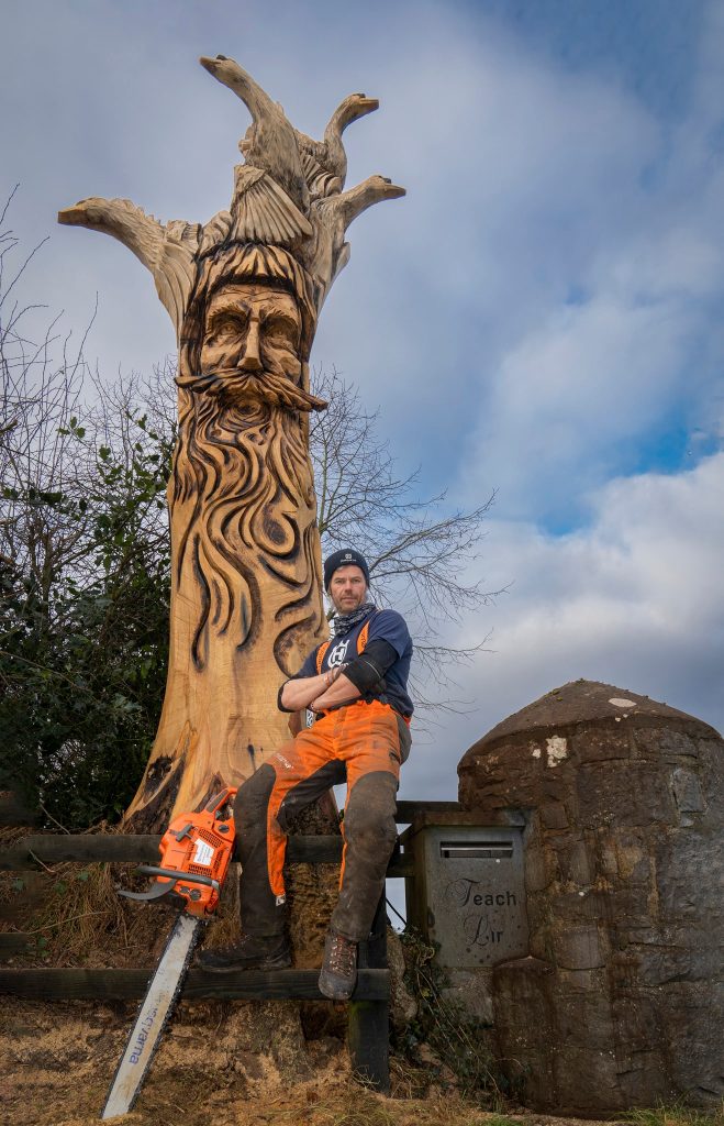 The Children of Lir, Crookedwood, Co. Westmeath