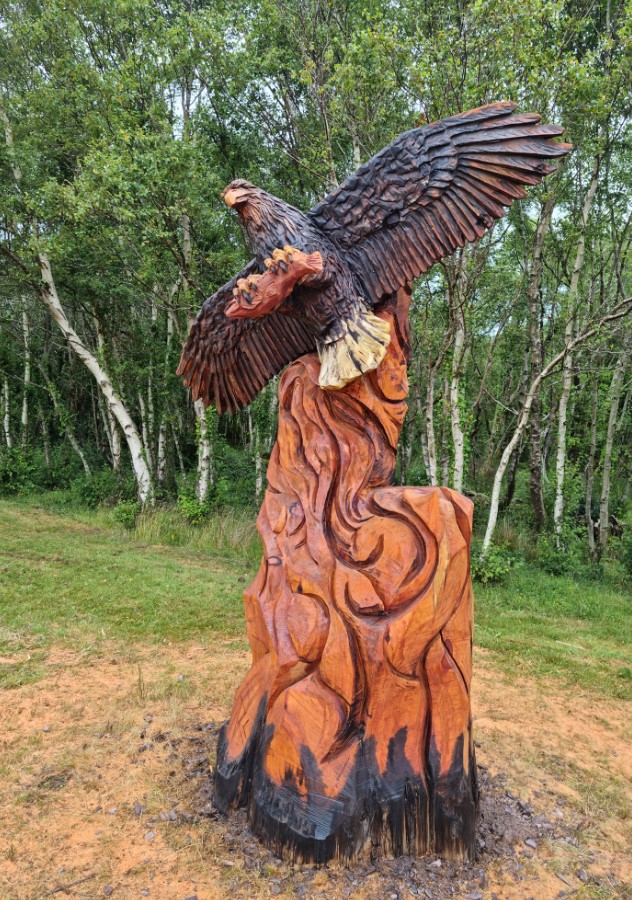 white tailed eagle tree stump sculpture